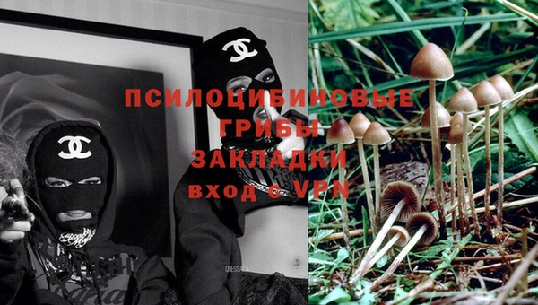 синтетический гашиш Алексеевка