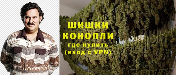 spice Алзамай