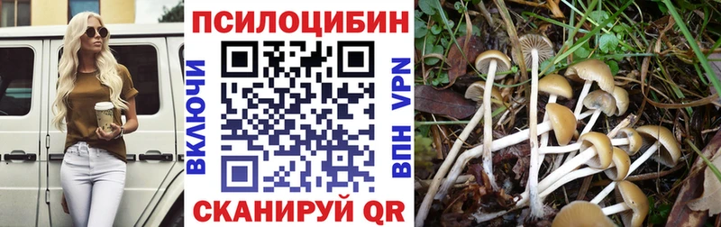 Галлюциногенные грибы GOLDEN TEACHER Любим